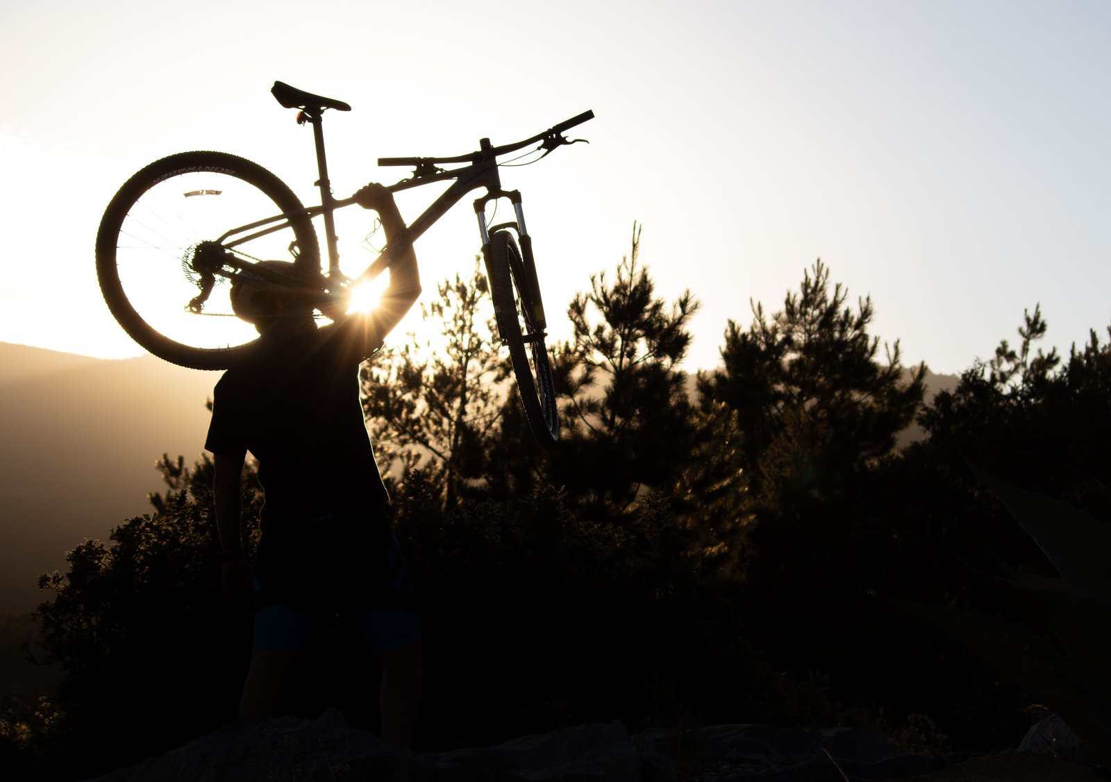 Mountain biker at sunset